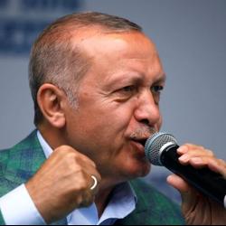 Эрдоган президенттик жана парламенттик шайлоодо жеңишке жеткенин билдирди