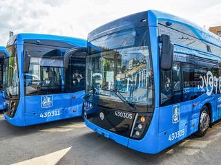Бишкекке күзүндө 120 жаңы электробус алып келүү пландалууда