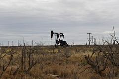 Нефтяников уличили в нежелании спасать планету