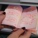 Түрк жарандары жасалма паспорт менен Казакстан аркылуу өтүүгө аракет кылышкан