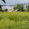 Өзбекстан: Чек ара боюнча Кыргызстандагы сүйлөшүүлөр ийгиликтүү болду