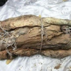 Кытайда 700 жылдык аял мумиясы табылды