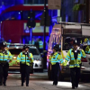 Лондон шаарындагы терактка шектелип 12 адам кармалды  