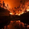 62 человека погибли за день пожаров в Португалии