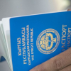 Мыйзамсыз паспорт берүү боюнча 180дей кылмыш иши токтотулган