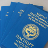 Москвада Кыргызстандын жасалма документтери менен паспортторун  колдонуп жүргөндөр кармалышты