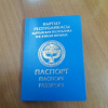 Элмира Мадиева:"Эмне үчүн Кыргызстанда жаза өтөп жаткан жарандарга паспорт берилбейт?"