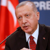Эрдоган Батышты качкындар тууралуу эскертти