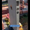 ВИДЕО – Бейитке iPhone эстеликтер коюла баштады