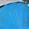 Кыргызстанда 100 миң паспорттун бланкы жоголгон. Аларды кимдер колдонуп жүрөт?