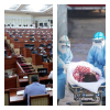 Кыргызстан коронавируска шектүү делген  анализдерин,  Лондондон текшертет