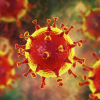 Адистерден жооп: Температура канча градуска ысыганда коронавирус дароо жок болуп кетет?