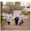 Жакшы жаӊылык! Кыргызстанда дагы 2 адам COVID-19 илдетинен айыкты