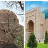 Өзбекстанда XI кылымдагы мавзолей тарыхый маанисин жоготту