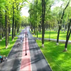 ВИДЕО - Бишкекте жаңы ачылган ажайып сейил бактын видео-тасмасы жарыяланды