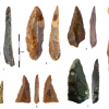 Найдены кости самых древних Homo sapiens в Европе