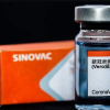 Кытай өзүнүн коронавирустук вакцинасы качан сатыла тургандыгын жана анын баасын жарыялады