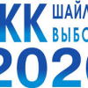 Родственник кандидата в депутаты возглавляет УИК