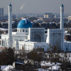 Өзбекстанда депутаттар саясий башпаанек берүү жөнүндөгү мыйзам долбоорун карашууда