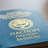 Түркияга жасалма паспорт менен кирген кыргызстандык келин камакка алынды