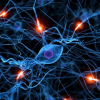 Ученые придумали устройство восстанавливающий нервные клетки