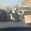 ИИМ: Бишкекте унаа уурдоого шектүү жарандар кармалды