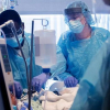Дүйнөдө биринчи жолу кол менен далы биргеликте трансплантацияланды