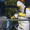 Гвинеяда Эбола эпидемиясы башталганы белгилүү болду