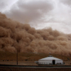 Монголиядагы катуу бороондон чабандар каза болуп, 81 киши дайынсыз
