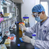 Кытай коронавируска каршы вакциналардын натыйжасыздыгын моюнга алды