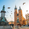 Польша: Орусиянын пайдасына тыңчылык кылган деген жаран камалды