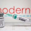 Евробиримдик өспүрүмдөрдү Moderna менен эмдөөгө уруксат берди