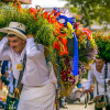 ВИДЕО - Фестиваль цветов в Колумбии