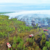 ВИДЕО - Работа в аду. Спасатели в Мордовском заповеднике попали в огненную ловушку