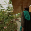 ВИДЕО - Талибдер экс-вице-президенттин хан сарайында жашап жаткан видео тарады