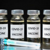 Өзбек окумуштуулары коронавируска каршы бир нече вакцинанын үстүнөн иштеп жатат