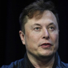 Илон Маск потерял $50 млрд из-за опроса в Twitter