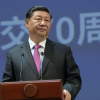 ВИДЕО - Си Цзиньпин призывает страны БРИКС содействовать миру и развитию