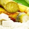 ВИДЕО – Производство сахара как зеркало всей экономики