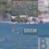 ВИДЕО - В Турции акула заплыла в залив у Мармариса. Отдыхающие отбивались от нее шваброй