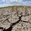 В Казахстане ожидается засуха в ряде районов