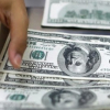 Валюталар курсу: АКШ доллары канча турат?