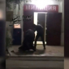 Милиция тизелеп отурган кишини муштумдаган кызматкердин видеосу боюнча үн катты