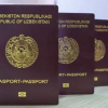 Өзбекстан чет элдик паспорт берүү эрежесин жеңилдетти