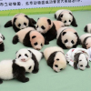 ВИДЕО - В провинции Сычуань появилось на свет 13 детенышей панды