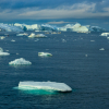 Арктикалык деңиз муздары 2050-жылга чейин толугу менен эриши мүмкүн