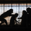 Американские ученые сообщают о дефиците подопытных обезьян - СМИ