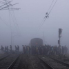 Индияда туман транспортту үзгүлтүккө учуратты