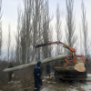 На Иссык-Куле жителя селя Ак-Дебе задержали за незаконную вырубку деревьев