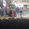 Бишкекте өзүн өрттөгөн жаран 